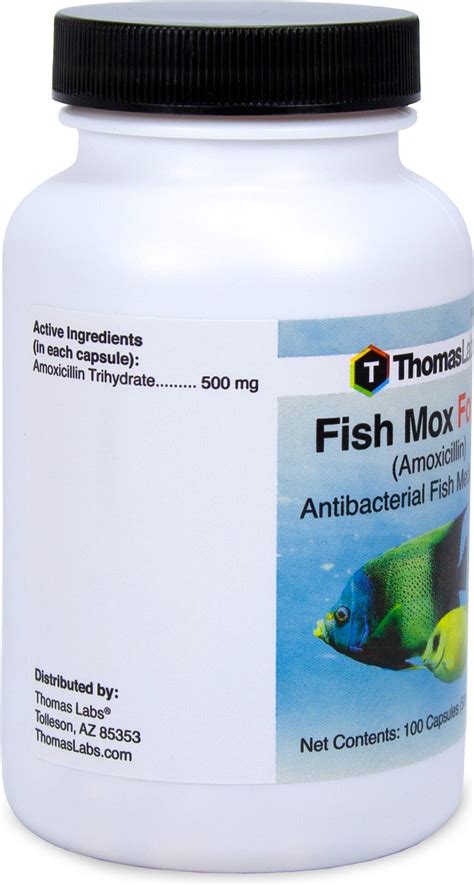 Fish Mox Forte Capsules l Amoxicillin For Fish